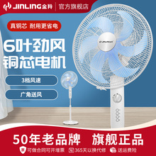 ����(JINLING)����ȏ����Cе���ʹ��I��L�ȼ����Óu�^���L��