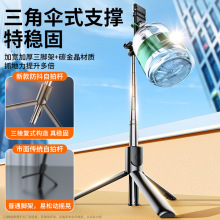 ӭΡ2024¿֙CėU_طyķ36