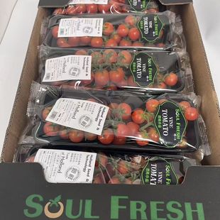 �V�����lֱ�l����S������С���� ���r�r��ˮ������С���t��