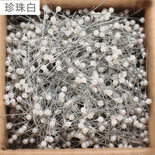 枚裁床大号彩色小号图钉珍珠珠针大头针服装内牙定位针固定针