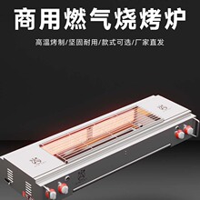 电烧烤炉欧洲220v3500w家用商用电烧烤炉牛羊煤气烧烤炉一件代发