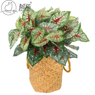 ��؈�����~��7�^���~���^�z�ָмt�����~�҃��b������~���ԾGֲ