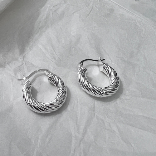 Korean Version 925 Pure Silver Heavy Carving Striped Earrings for Women, Simple and Fashionable Instagram Style Xiaohongshu Earrings Korean Earrings