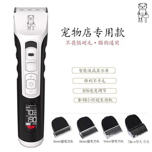 �Q���I��Ƽ�����������ë��؈��̩�Ͻ�ë��Ƽ�