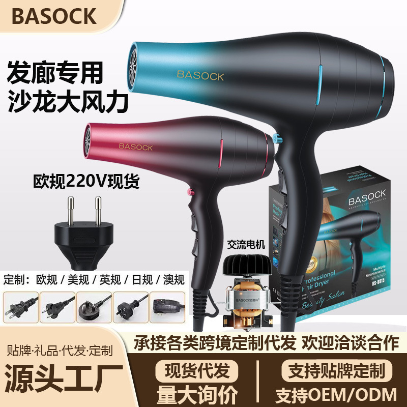 Cross-Border Popular European Standard Hair Dryer, High-Power Hot and Cold Air Blower for Hair Salons, Round Plug, Strong Wind for Home Use Cross-Border Popular European Standard Hair Dryer, High-Power Hot and Cold Air Blower for Hair Salons, Round Plug, Strong Wind for Home Use