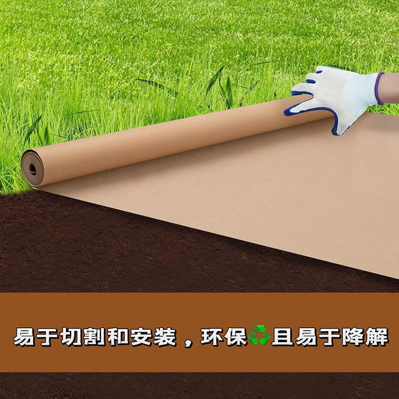 微信图片_20241202185554