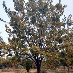 �|���ͺ� ����Ԫ������ ����Ԫ���� ��Ǘ���� ���̾G�����~��ľ