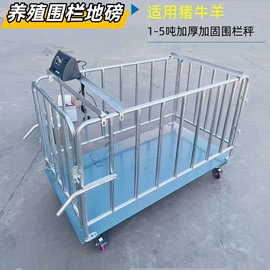 地磅;台秤;电子秤