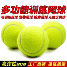 网球训练球儿童训练网球狗狗耐咬网球初学者高弹力练习按摩健身球