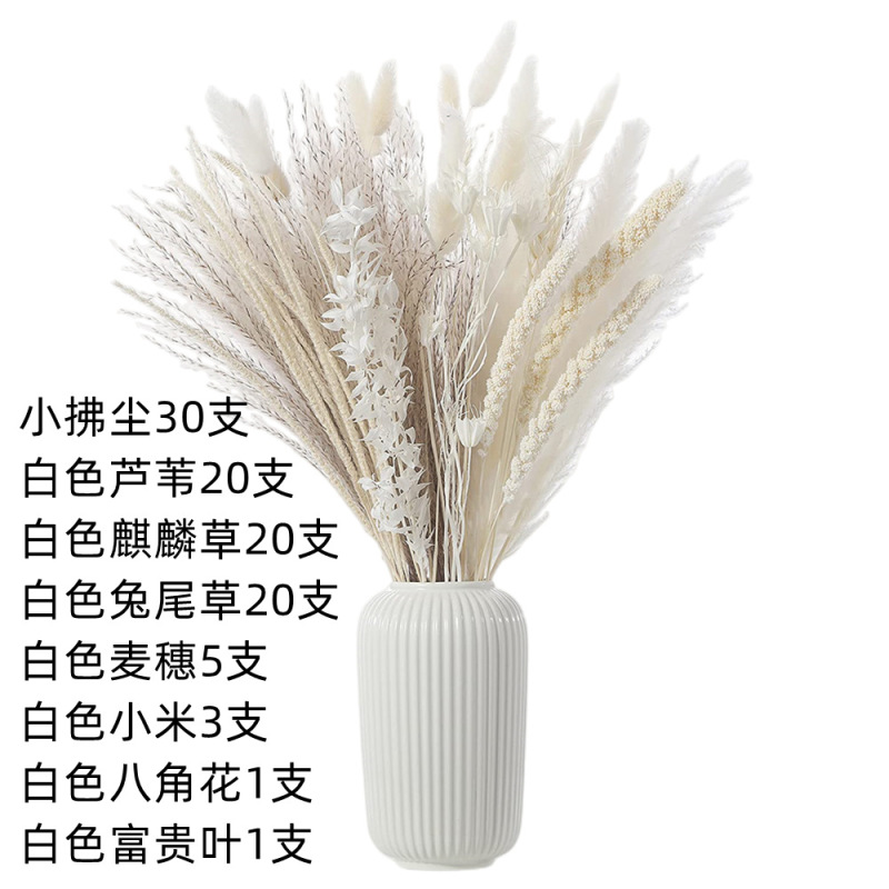 アマゾンはよく売れています。葦の花の花束です。|undefined