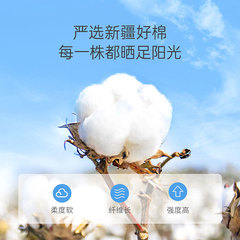 Women's Pregnant Postpartum Disposable Underwear, 100% Cotton, Sterile, Postpartum Travel Underwear, Plus Size, Wash-Free