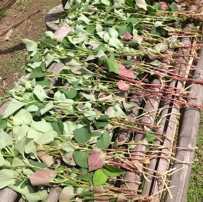 d7c6ca5edaf7555855d8b14b1063e3