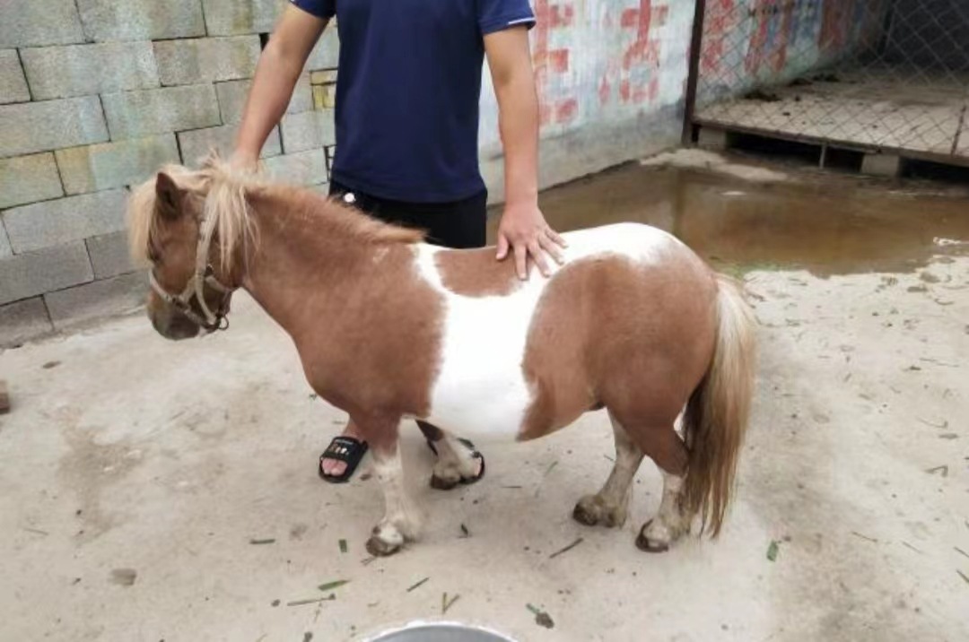 微信图片_20230430120038