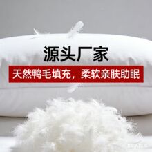 �羳�Ƶ�ȫ���Zë���^��ë���������ް��Z��qëƬ��о���������