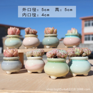 С�̹ޱ��Ѷ��⻨���մɄ��₀������ɐ��Ϙ���������Ĵָ��͸��
