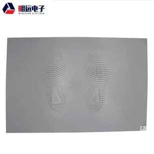 Supply Sole ash removal mat factory clean workshop laboratory household entrance door Sole ash removal mat