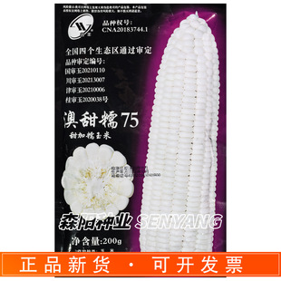 ���S����Ŵ75���Ŵ���׷N�����찫�U����rʳ������Ŵ��̖����27