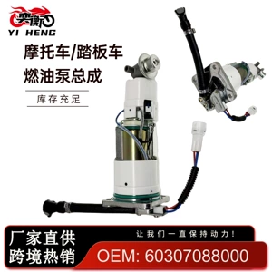 Cross-Border Applicable for Ktm 1090 Adventure R 2017 Fuel Pump Assembly 60307088000