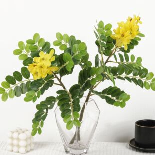 ���滱����֦ С�S���~�S�������~���� �@�ֹ����쾰����Gֲ�~��