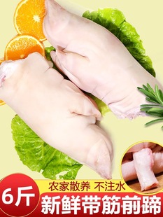 �i��������l���������i�_���r�����i�����rǰ����������i���