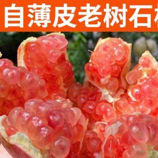 ��ϼt������ʯ��9�ﮔ�����rˮ���Ϙ�Ӳ����ʯ��ԭ�a�جFժ�Ȱl