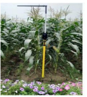 LBYM-G便携式玉米株高测量仪