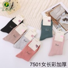 三叶竹7501秋冬新款女士彩棉长筒袜加厚保暖透气时尚中筒袜批发