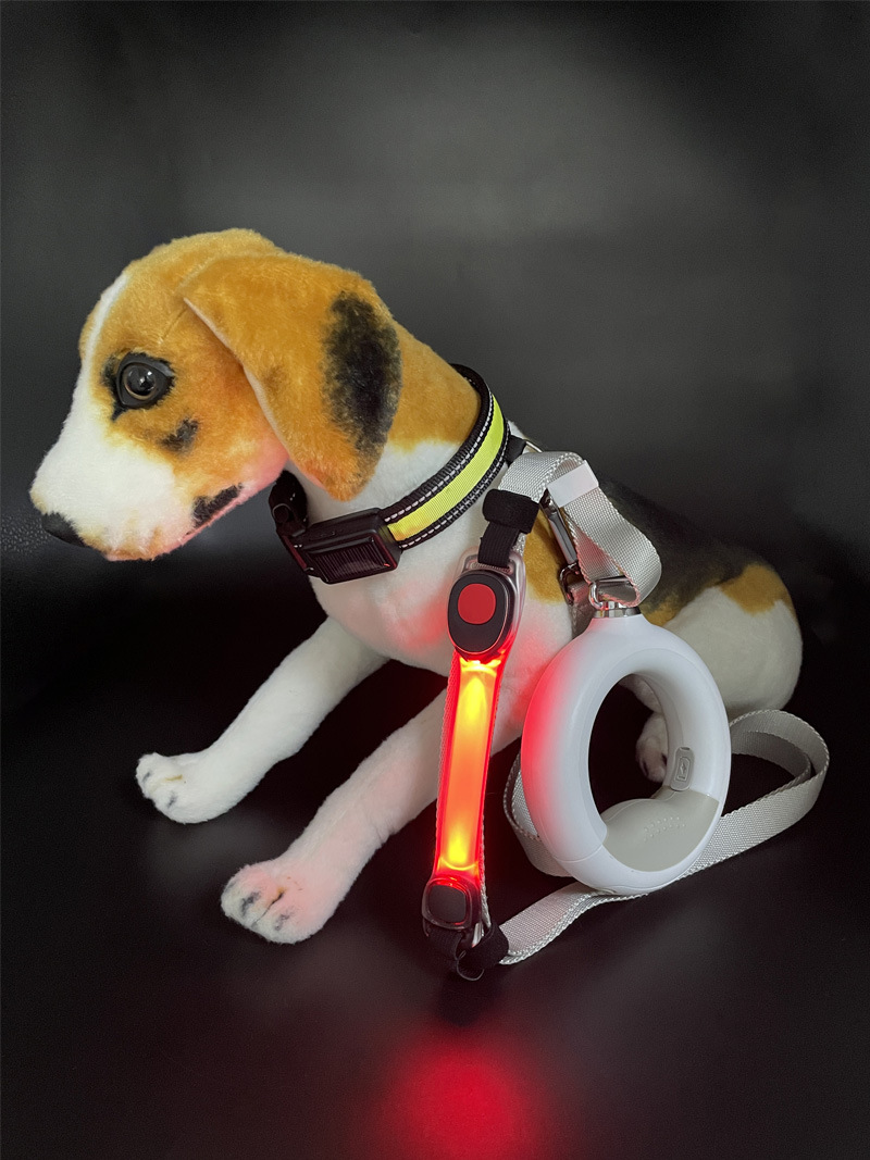 宠物臂带灯22.jpg