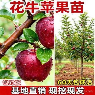 ��ţ�O��������ش������ͺ��ͺ��޽ӻ����ϱ���ͥԺ�Nֲ����Y��