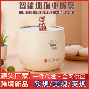 Multi-functional household rice cooker dormitory student mini rice cooker intelligent reservation cooking soup non-stick pan wholesale