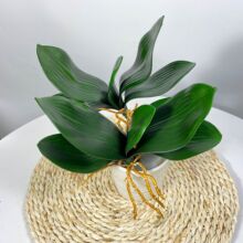 �����m�~�� �m���~�� ��������m�~�Ӽ�ֲ��廨����bS��ֱ�l