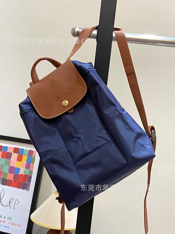 莞产跨境骧家双肩包轻便休闲旅行防水背包女式手提书包2025新款|undefined