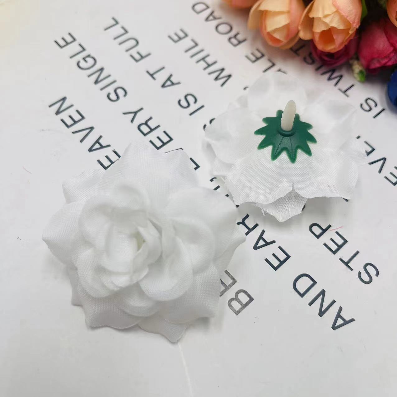 微信图片_20240816155548