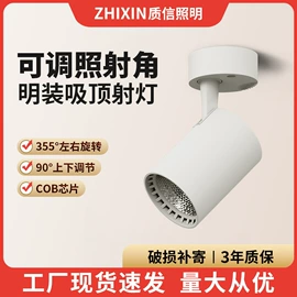 筒灯;射灯;LED轨道灯