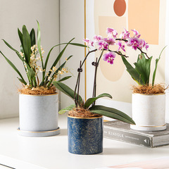 北欧の植木鉢陶磁器卸売りヨーロッパ式シンプルな植木鉢容器蘭専用の植木鉢
