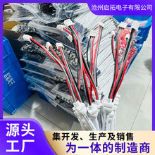 定制各种规格端子线电子连接线 电池线配机线0.8间距2P灯条端子线