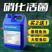 硝化细菌鱼缸用消化细菌液活菌锦鲤鱼池净化水质清澈剂养鱼净水剂