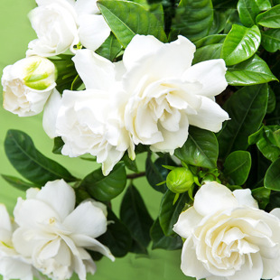 һ�����l�󻨝���ĵ���d�ӻ����С�~�ļ������ֲ̨�����ԾGֲ