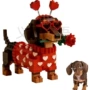 setbrick2026腊肠犬套装