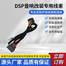 �󱊊W��܇ϵ DSP ���þ��� �o�p������푸��b���Ĺ����B�Ӿ�
