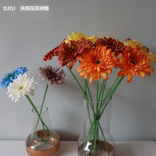 ���޾շ��ɻ� ��֧�������ɻ������Ҿ�С�����b��滨