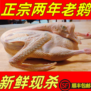 2�����Z��ֻ�r��ɢ�B�F�׬F�����Z�����Z ���r������B���Z���l