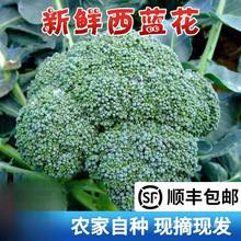 �K���r�ҬFժ���m�����r���{���G�໨�˻�Ҭ�˴��۲˻��r���߲�