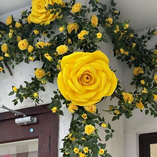 õ��󼈻��Sõ������Ĕz�����Y��@���������b�ˮ��ĭ����