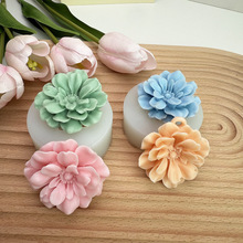 ëݹ����������޹ʯ�������ֹ������轺ģ��