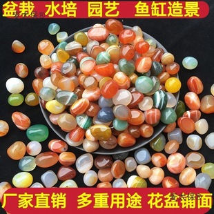 ��ʯ�Ͼ�ԭʯ�Z��ʯ��������~�׻������������ɫСʯ�^����̫��