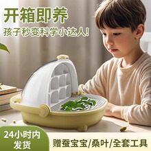 �Q�����W���B�Q���b̫���B���}������B�вʽz�Q�����rɣ�~̫��œ