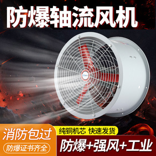 Explosion-Proof Axial Flow Fan/Industrial Ventilator High Temperature Resistant Fire Exhaust Fan Duct Exhaust Wushan