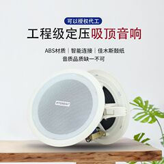 固定圧力天井ホーン 5inch 6inch 商業天井天井ホーン火災背景音楽金属天井ホーン