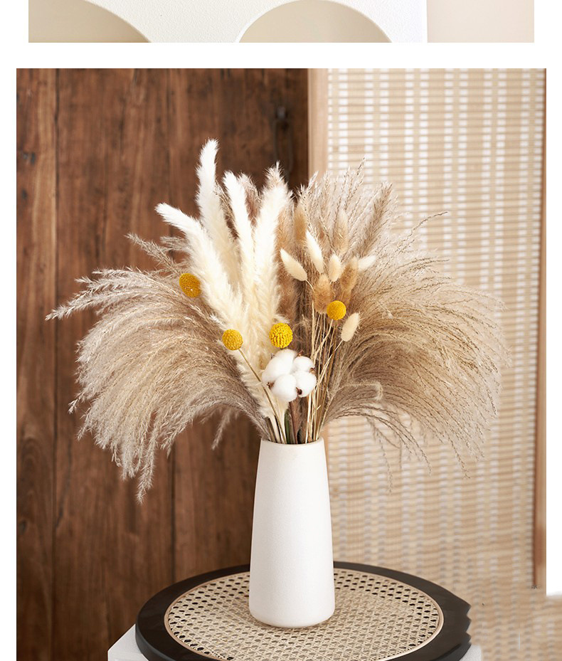 4992855b-4625-4e4d-8709-93a0533ea151.jpe